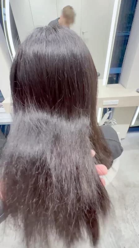 他店で縮毛矯正を断られた複雑履歴。毛先ブリーチ2回+黒染めから艶のあるストレートへ 施術前:毛先のチリつき・広がり